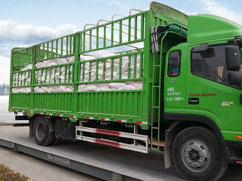 在河南為什么樹腳要涂熟石灰,你真的了解嗎? 在河南為什么樹腳要涂熟石灰,你真的了解嗎?